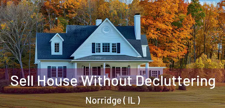  Sell House Without Decluttering Norridge ( IL )