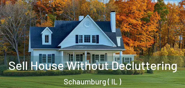  Sell House Without Decluttering Schaumburg ( IL )
