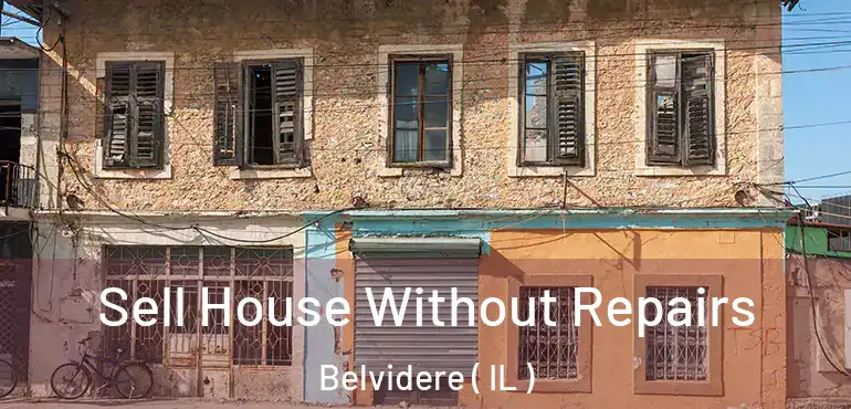  Sell House Without Repairs Belvidere ( IL )