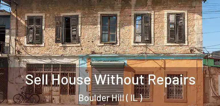 Sell House Without Repairs Boulder Hill ( IL )