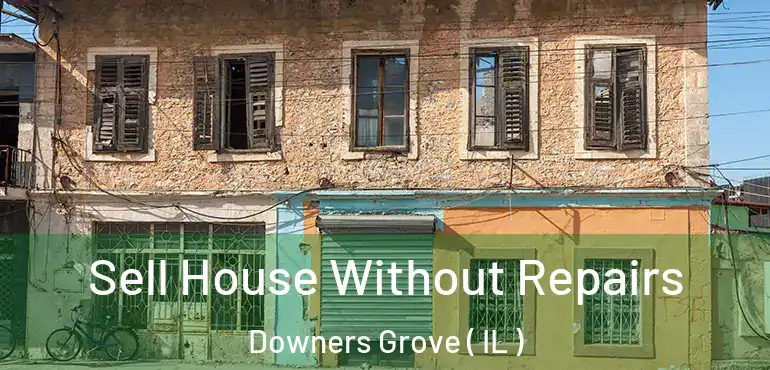  Sell House Without Repairs Downers Grove ( IL )