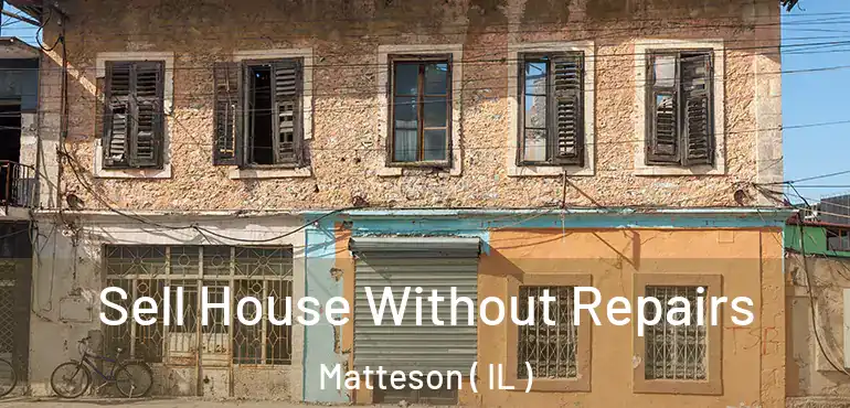  Sell House Without Repairs Matteson ( IL )