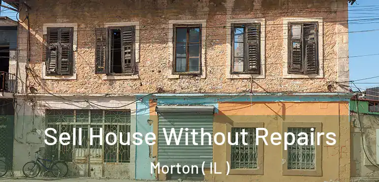  Sell House Without Repairs Morton ( IL )