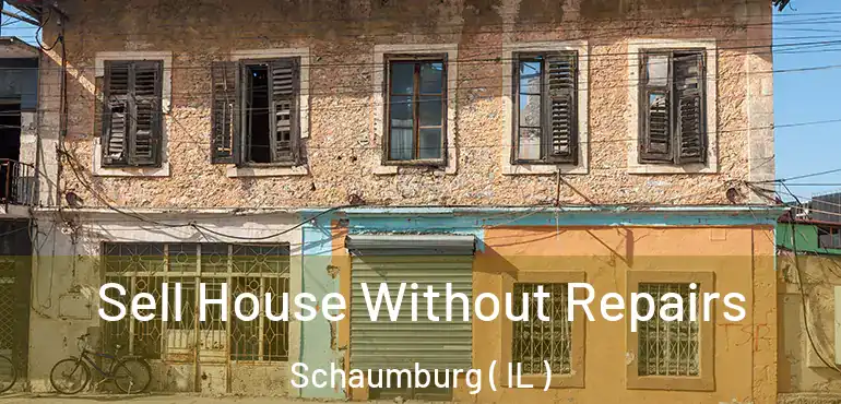 Sell House Without Repairs Schaumburg ( IL )