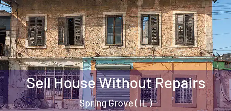  Sell House Without Repairs Spring Grove ( IL )
