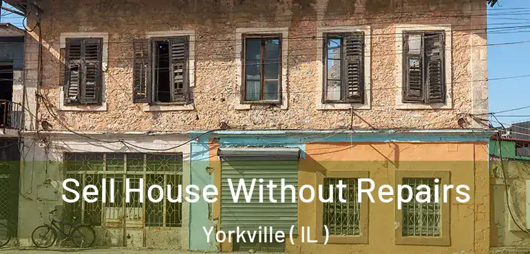  Sell House Without Repairs Yorkville ( IL )