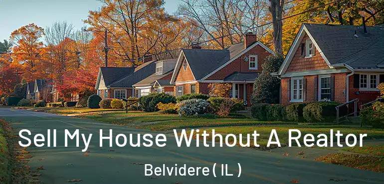  Sell My House Without A Realtor Belvidere ( IL )