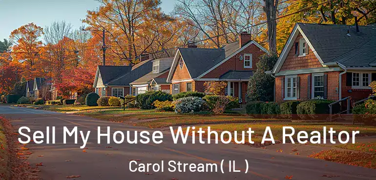  Sell My House Without A Realtor Carol Stream ( IL )
