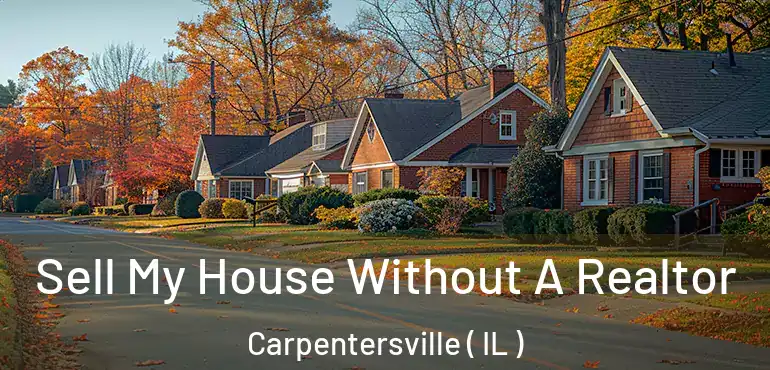  Sell My House Without A Realtor Carpentersville ( IL )