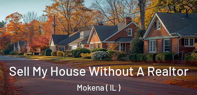  Sell My House Without A Realtor Mokena ( IL )