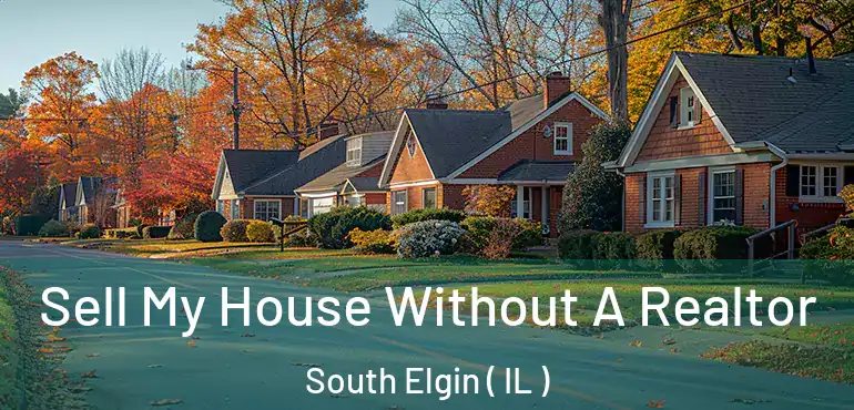 Sell My House Without A Realtor South Elgin ( IL )