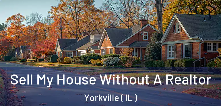  Sell My House Without A Realtor Yorkville ( IL )