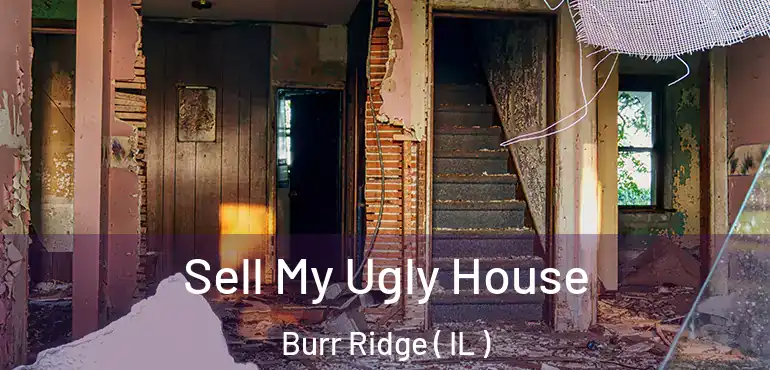  Sell My Ugly House Burr Ridge ( IL )