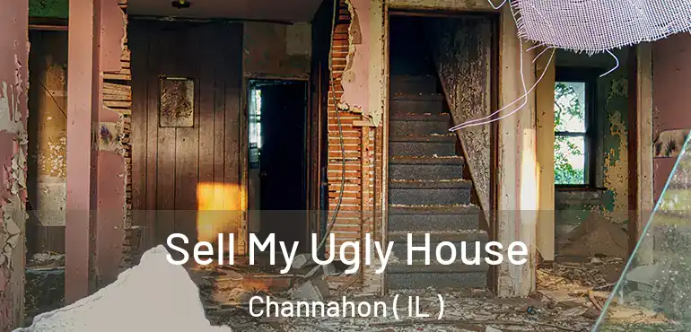  Sell My Ugly House Channahon ( IL )