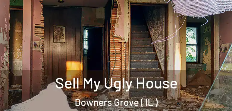  Sell My Ugly House Downers Grove ( IL )