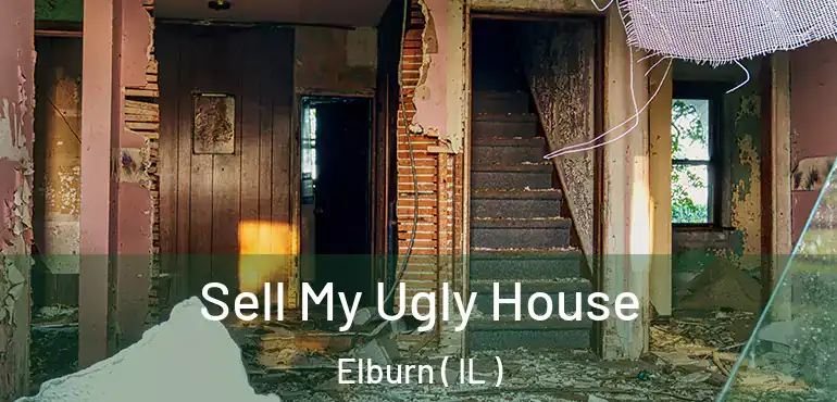  Sell My Ugly House Elburn ( IL )