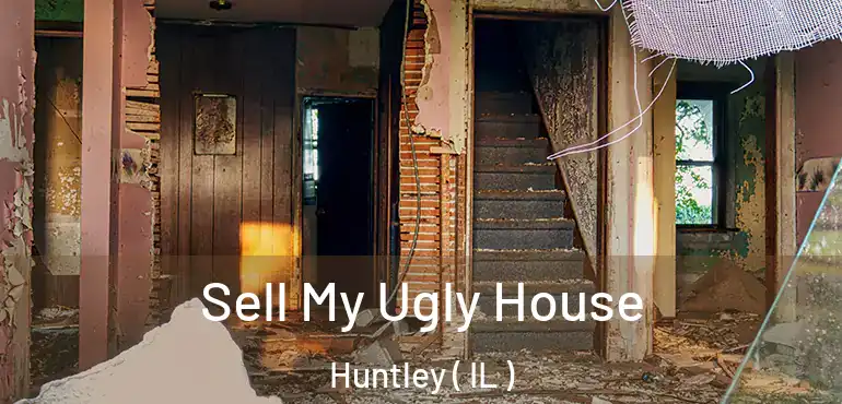  Sell My Ugly House Huntley ( IL )
