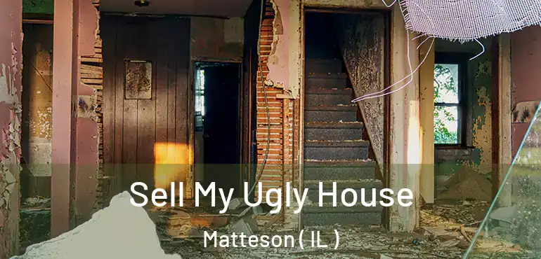  Sell My Ugly House Matteson ( IL )