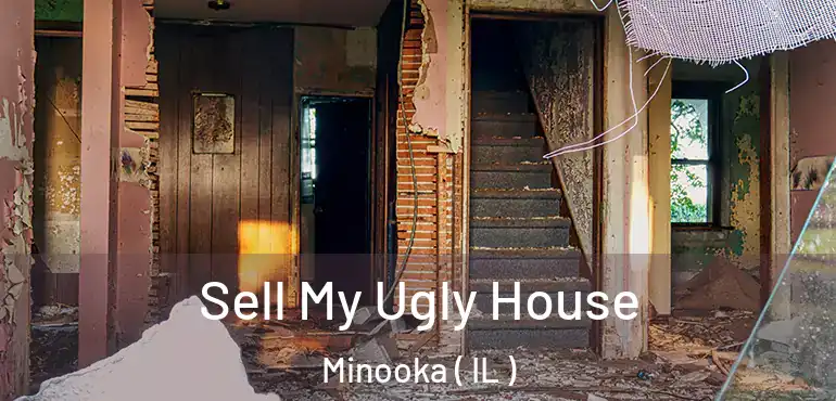  Sell My Ugly House Minooka ( IL )