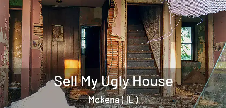  Sell My Ugly House Mokena ( IL )