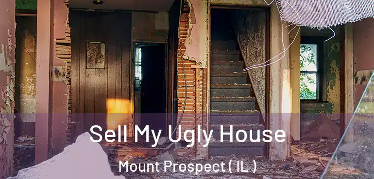  Sell My Ugly House Mount Prospect ( IL )