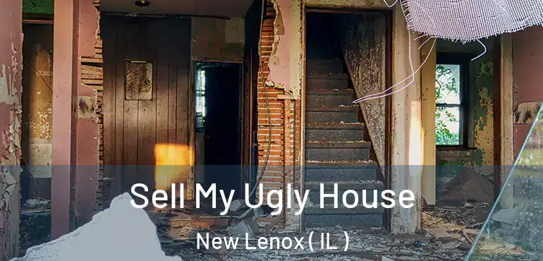  Sell My Ugly House New Lenox ( IL )