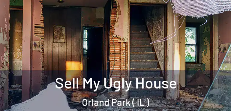  Sell My Ugly House Orland Park ( IL )