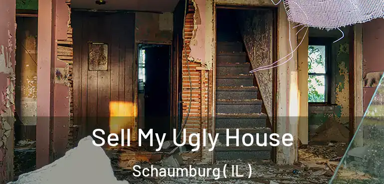  Sell My Ugly House Schaumburg ( IL )