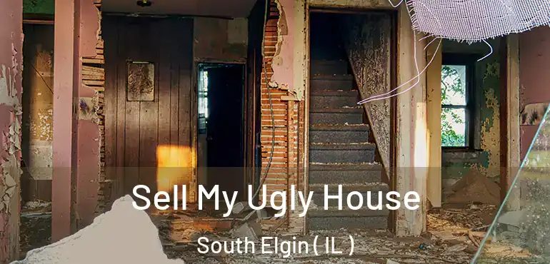  Sell My Ugly House South Elgin ( IL )