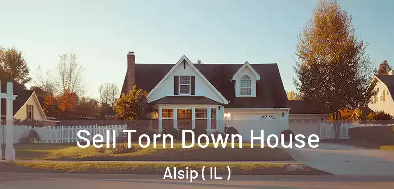  Sell Torn Down House Alsip ( IL )
