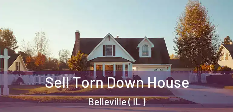  Sell Torn Down House Belleville ( IL )