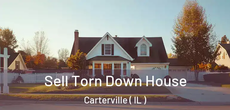 Sell Torn Down House Carterville ( IL )