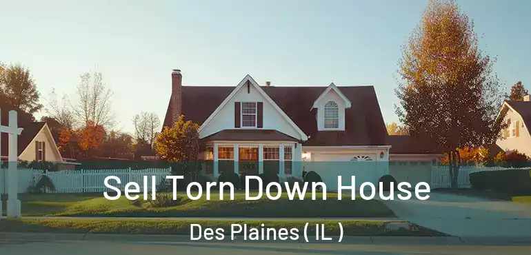  Sell Torn Down House Des Plaines ( IL )