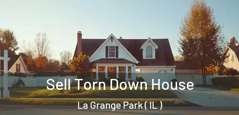  Sell Torn Down House La Grange Park ( IL )