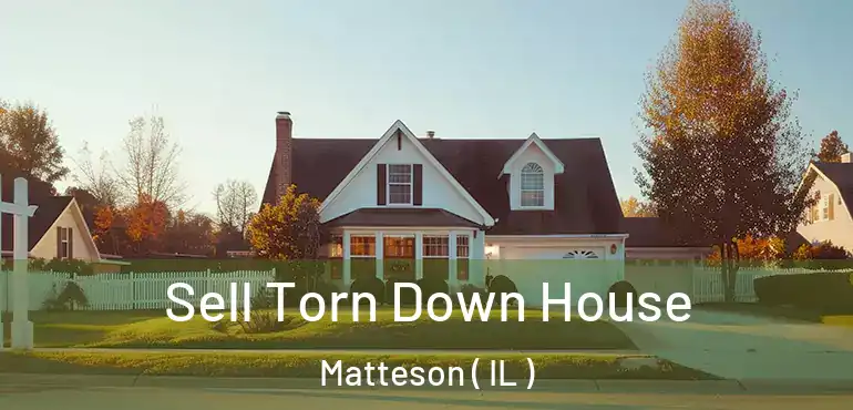  Sell Torn Down House Matteson ( IL )