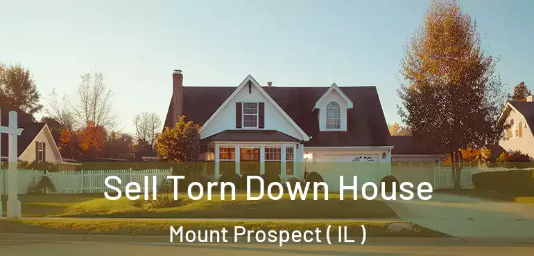  Sell Torn Down House Mount Prospect ( IL )