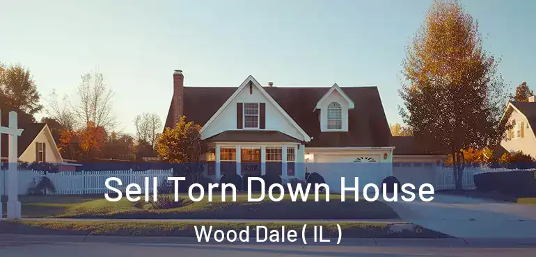  Sell Torn Down House Wood Dale ( IL )