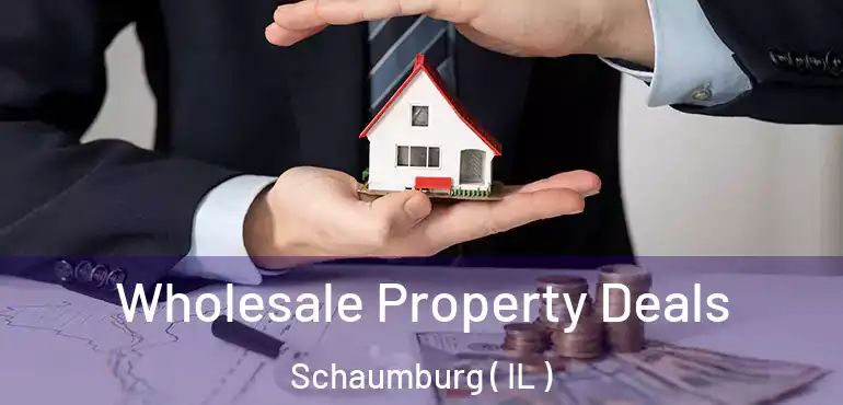 Wholesale Property Deals Schaumburg ( IL )